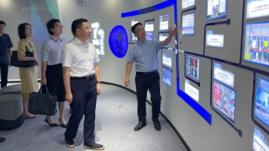 嘉兴市政府副市长倪沪平一行莅临谈球吧科技考察调研