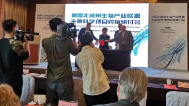 谈球吧科技与德国KanMedIm推进腹部微创手术AI导航的研发合作