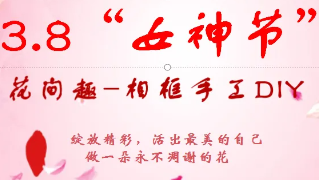 逐梦花影，绽放光彩，女神节快乐！