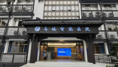 医疗AI科技如何助力公立医院改革与高质量发展？