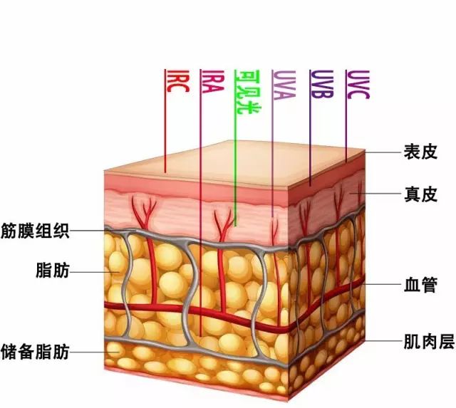 激光光生物安全和光生物安全介绍(图2) 激光光生物安全和光生物安全介绍(图2)
